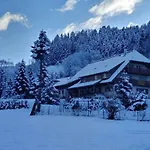 Hébergement de vacances No 4 Oppenau